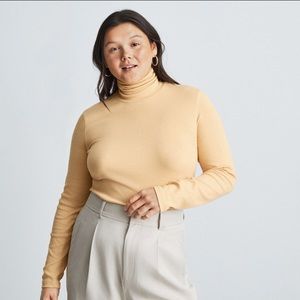 Everlane Pima Micro-Rib Turtleneck in Melon